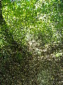 DSCN0401.JPG