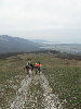 IMG_2781.jpg