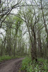 DSC_0555.jpg