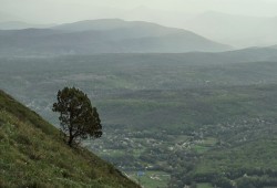 DSC_0564-1.jpg