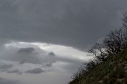 DSC_0565-1.jpg