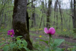 DSC_0592.jpg