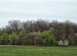 DSC_0606-1.jpg