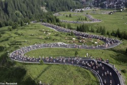 sportograf-29453791.jpg