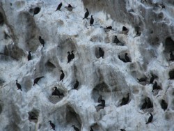IMG_4253.JPG