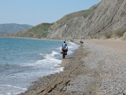 DSCN5726.JPG