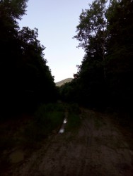 IMG_20160611_054134.jpg