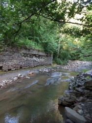 IMG_20160611_060216.jpg