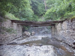 IMG_20160611_060847.jpg