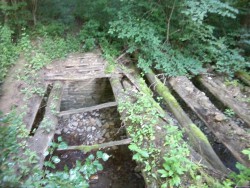 IMG_20160611_070051.jpg