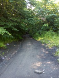 IMG_20160611_084040.jpg