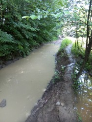 IMG_20160611_091542.jpg