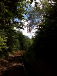 IMG_20160611_093832.jpg