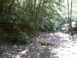 IMG_20160611_102602.jpg