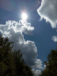 IMG_20160611_104907.jpg