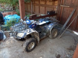 IMG_20160612_075955.jpg