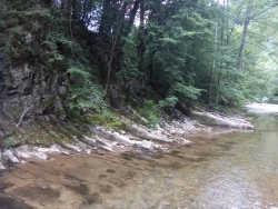 IMG_20160612_092221.jpg