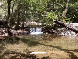 IMG_20160612_101841.jpg