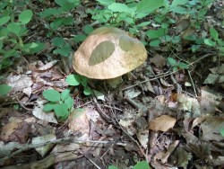 IMG_20160612_104102.jpg