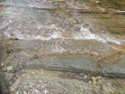 IMG_20160612_113826.jpg