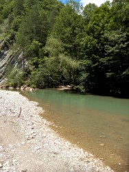 IMG_20160612_121009.jpg