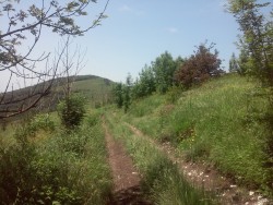 20160619_132917.jpg