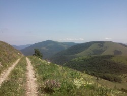 20160619_135348.jpg