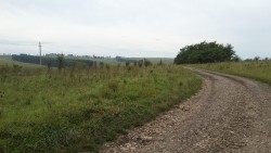 20160904_081536.jpg