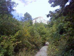 07012010638.jpg