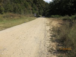 IMG_0004.JPG