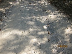 IMG_0006.JPG