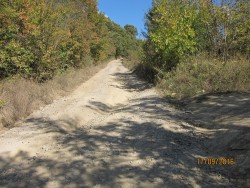 IMG_0007.JPG