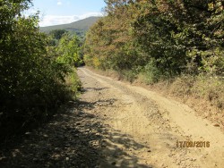 IMG_0012.JPG
