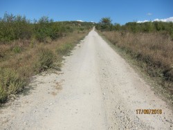 IMG_0015.JPG