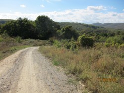 IMG_0016.JPG