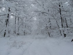IMG_2160.JPG