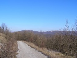 5.JPG