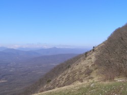 6.JPG