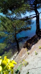 IMG-20170403-WA0000.jpg
