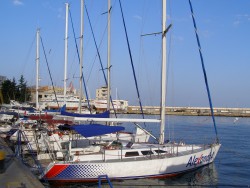 фото (1001).JPG