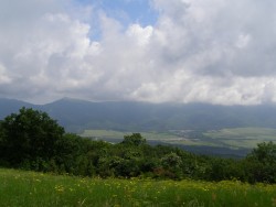 P1010102.JPG