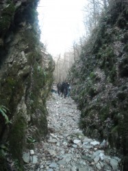 DSCN1034.JPG