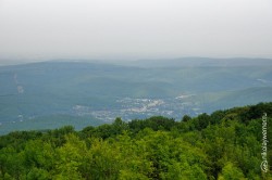 shapsuga-2015-19.jpg
