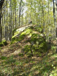 OSCN0434.JPG