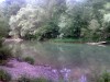 PIC10053101.jpg