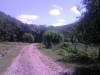 PIC10060909.jpg