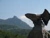 IMG_3496.jpg