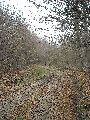DSCN0594.JPG