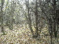 DSCN0614.JPG