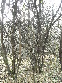 DSCN0615.JPG